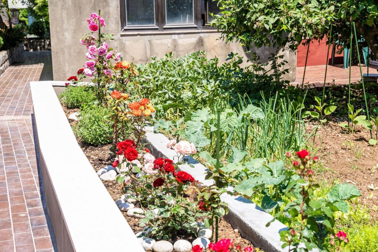 Studio Apartment Lapad Dubrovnik Eksteriør bilde