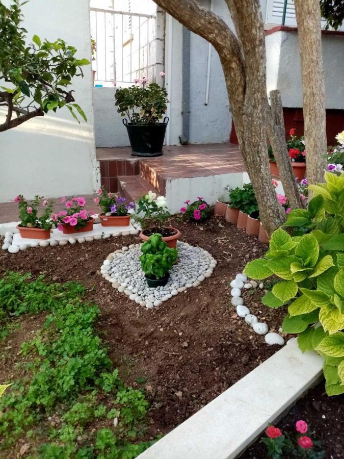Studio Apartment Lapad Dubrovnik Eksteriør bilde